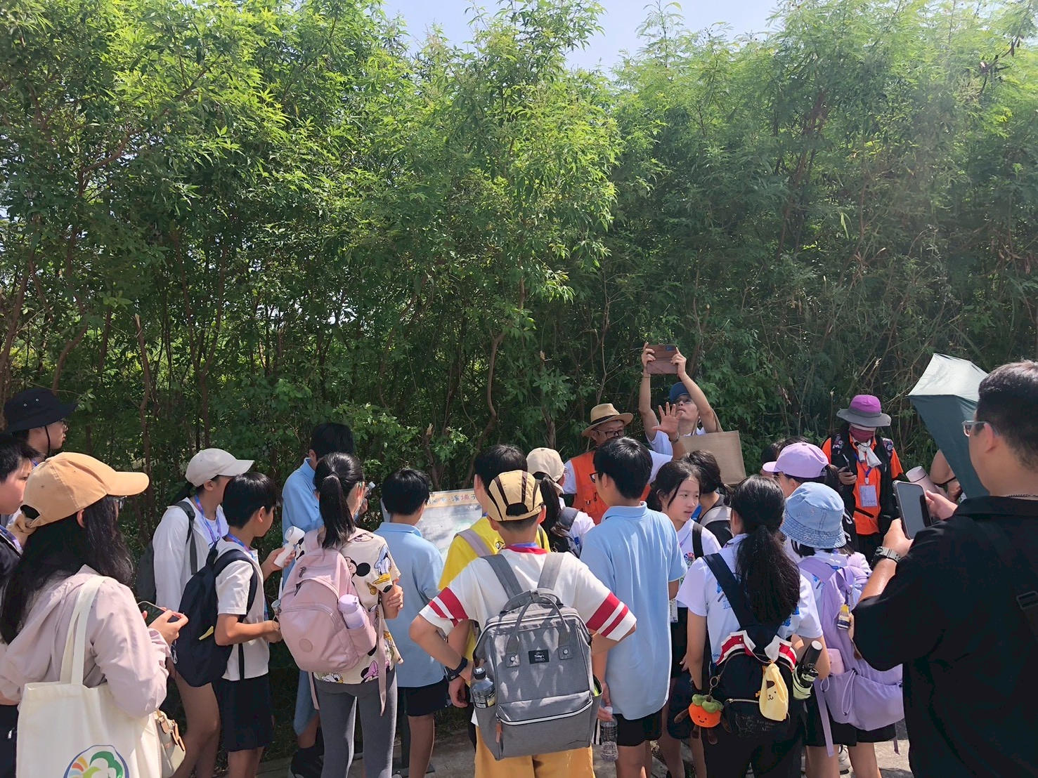 新竹市青草湖國小第65屆全國科展「環教生態之旅」(第二梯次)-『野「態」美！』-照片2