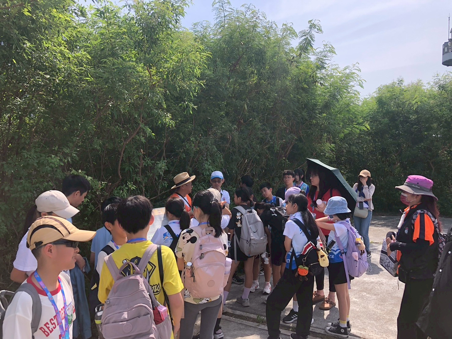 新竹市青草湖國小第65屆全國科展「環教生態之旅」(第二梯次)-『野「態」美！』-照片3